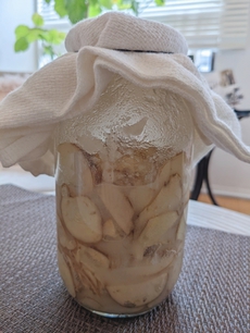 しょうが酵素シロップ